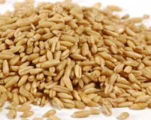 wholeoatgroat