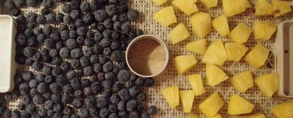 Radio Interview: Dehydrating 101
